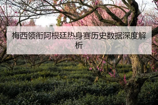 梅西领衔阿根廷热身赛历史数据深度解析